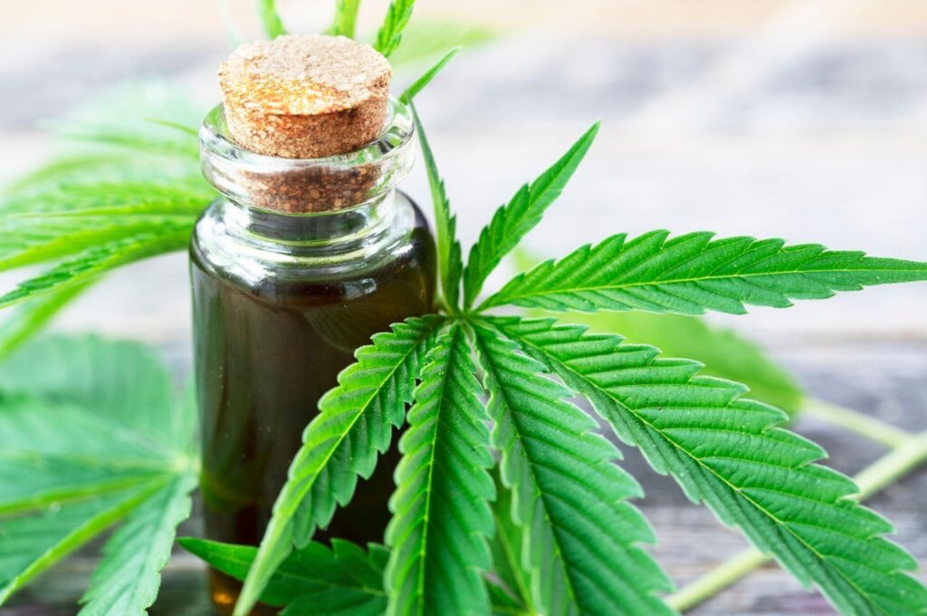 Cannabis is Medicine