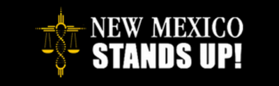 MNSU 400 x 125
