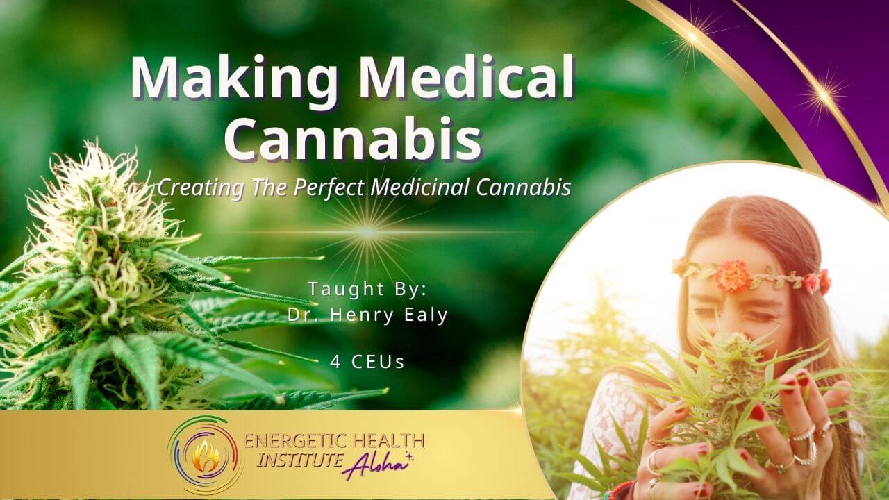 Product Image Making Medical Cannabis Cannabis Plant Flower Child Smelling Large Cannabis Flower