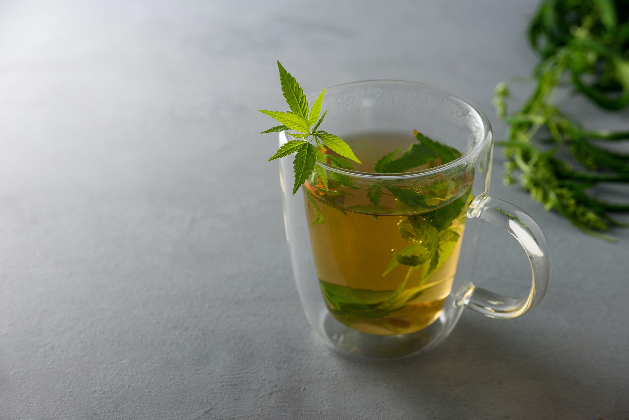 cup of herbal cannabis tea
