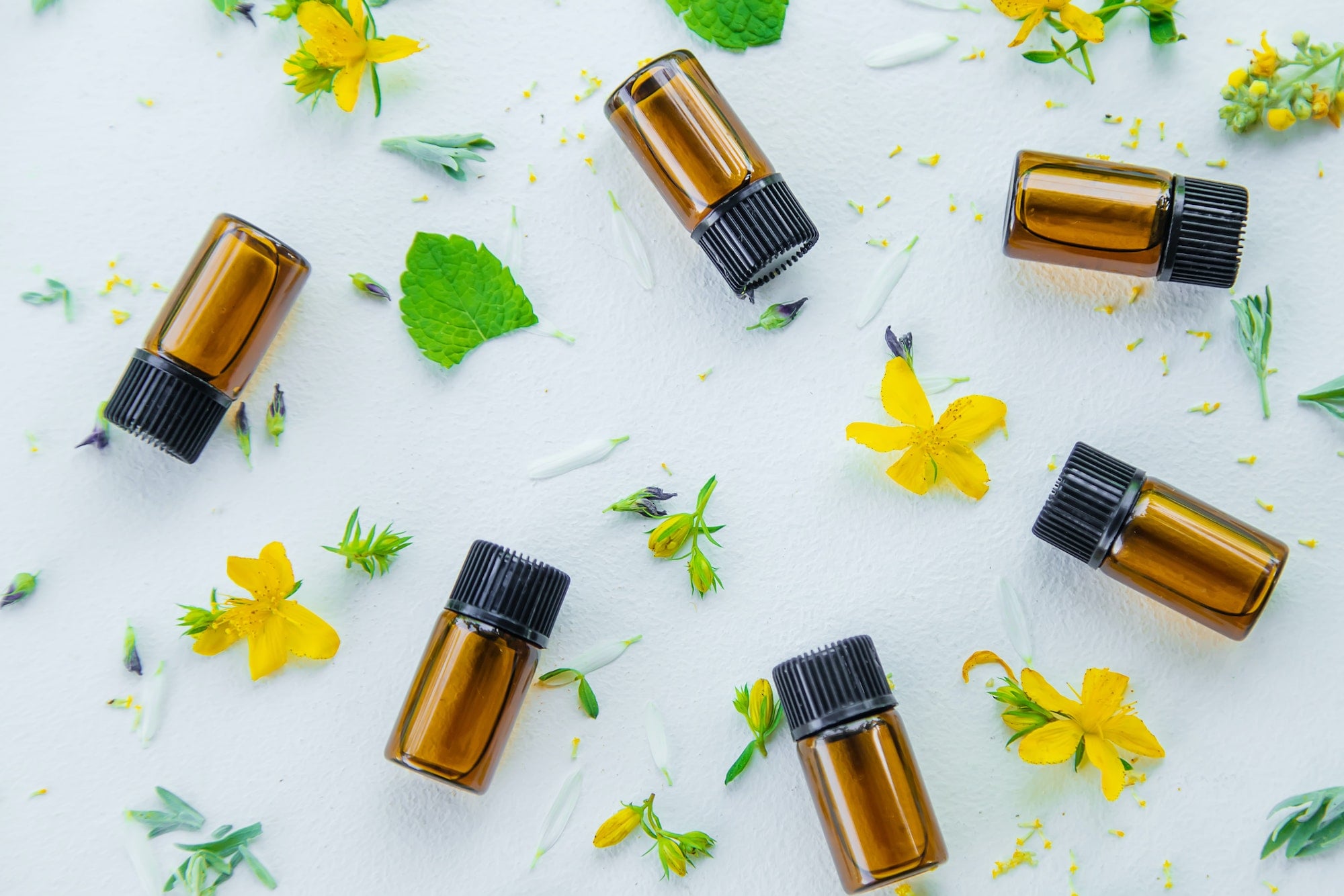 homeopathy 1 1