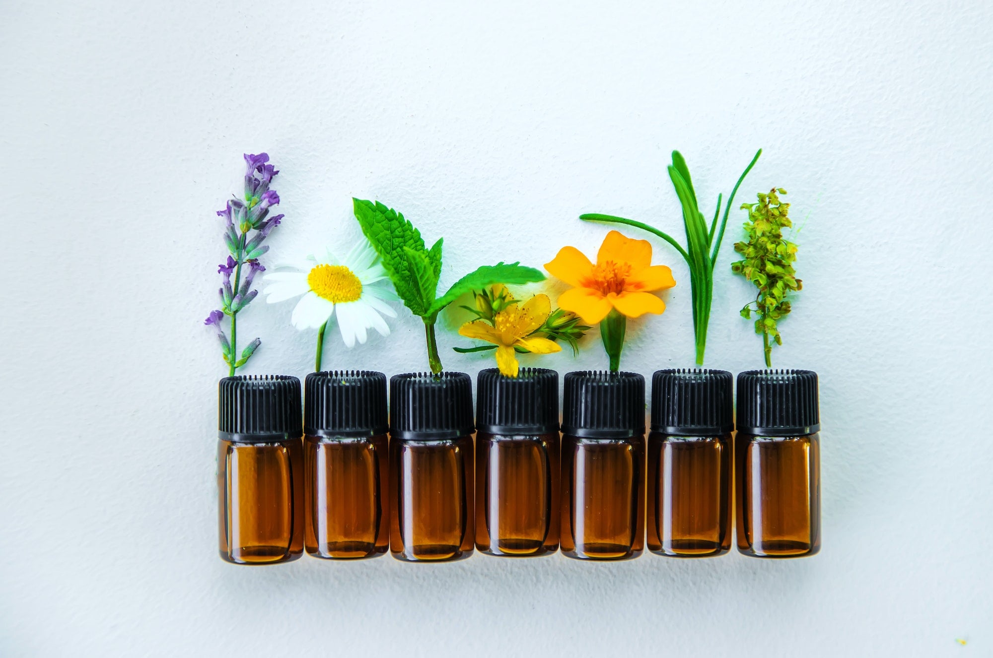 homeopathy 1