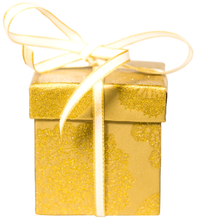 single christmas gift My EHI Aloha dr henry ealy